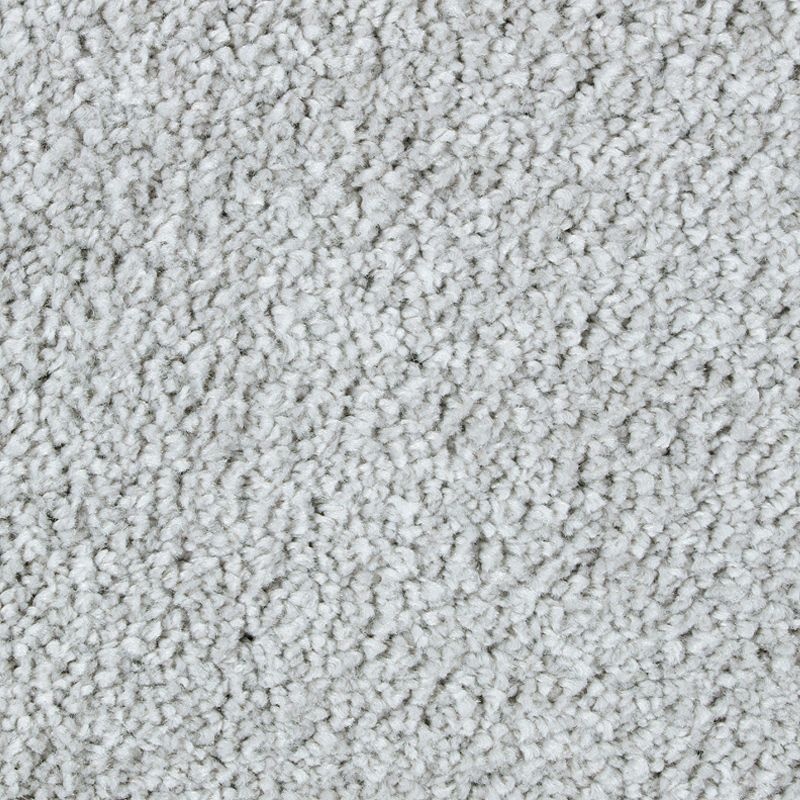 Exquisite Attraction Winter Ash Triexta Carpet