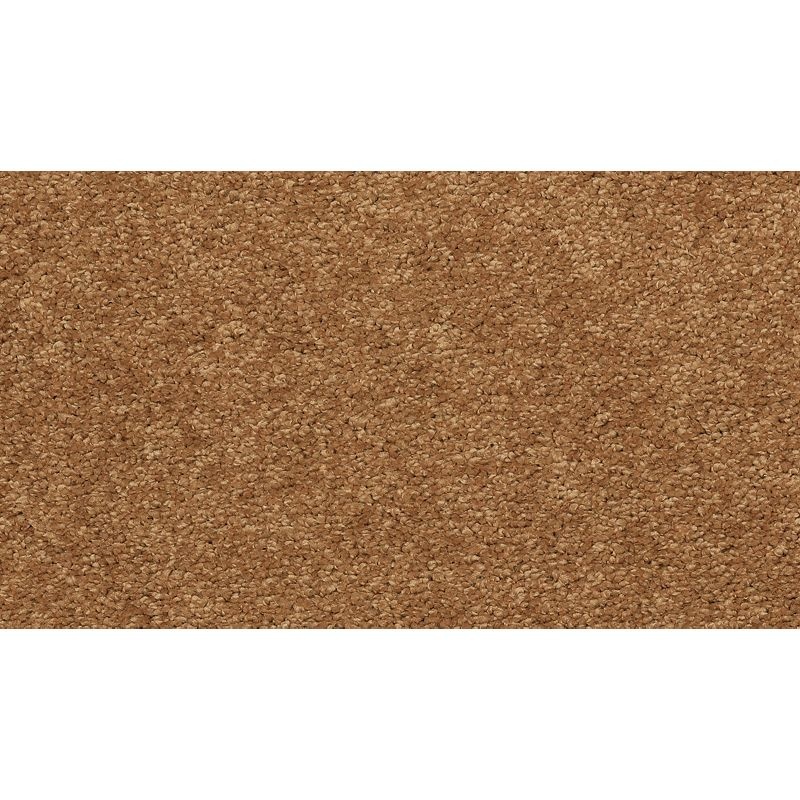 Soft Edition I Autumn Polyester Carpet - Textured