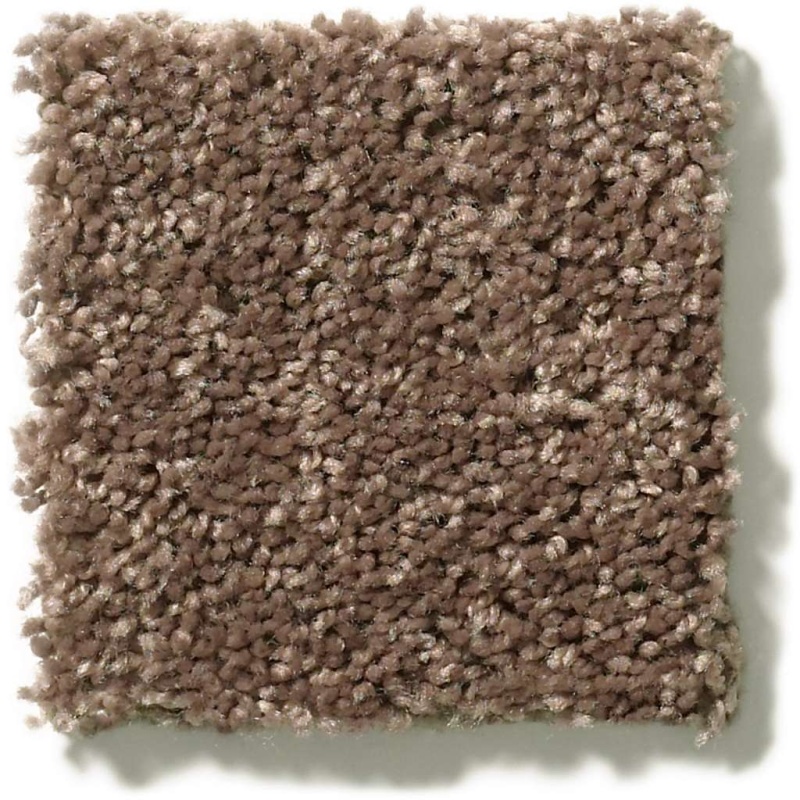 Queen Point Guard 15' Cattail Polyester Carpet - Textured