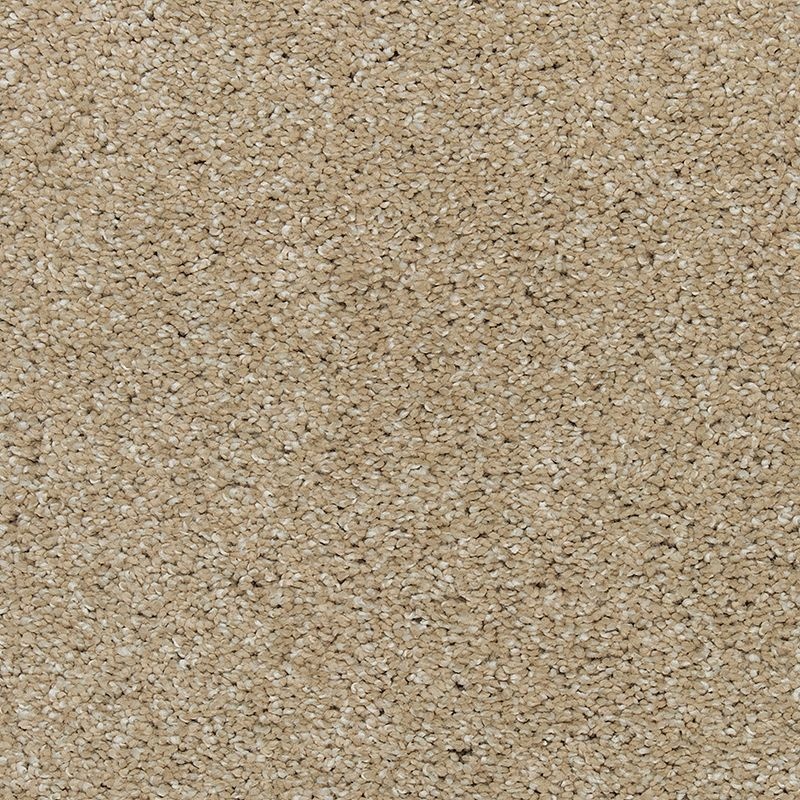 Stonington Manor Ii Sand Dollar Triexta Carpet