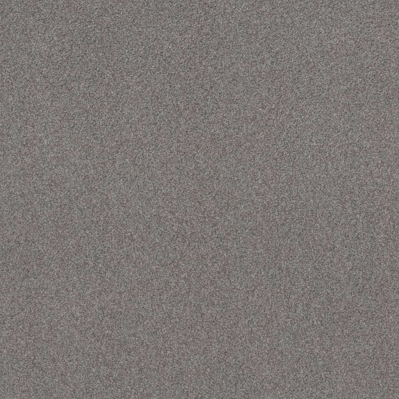 Foundations Sweet Inspiration I Charcoal Nylon Carpet - Textured