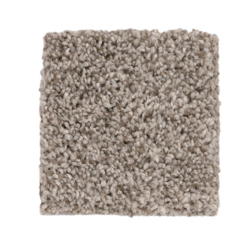 Pet Perfect Plus Calm Serenity I Dark Maple Polyester Carpet - Textured