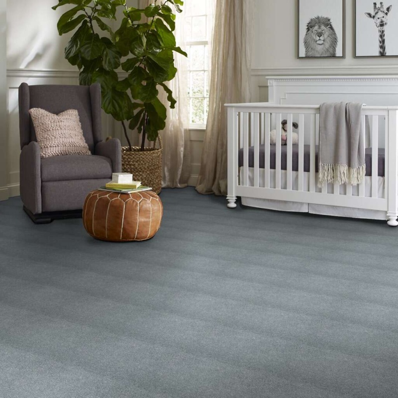 Caress By Shaw Quiet Comfort Classic Ii Wedgewood Nylon Carpet - Textured