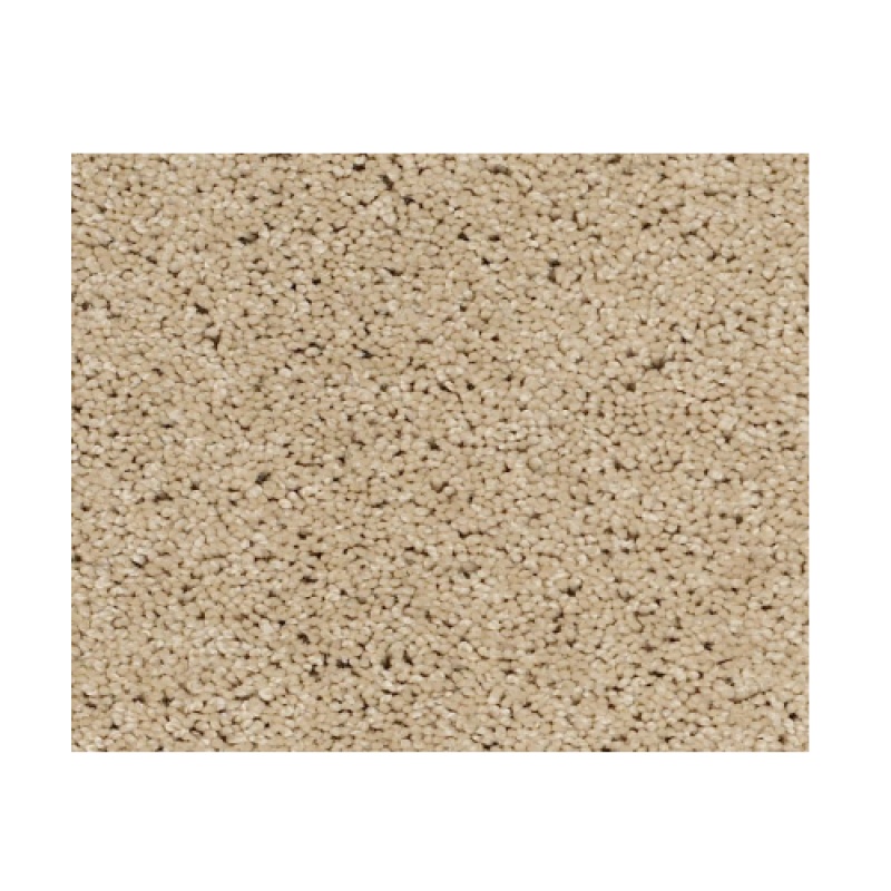 Butterfly Kisses Ii Caramel Ice Nylon Carpet - Textured