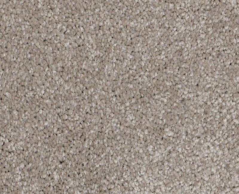 Anso Open I (S) Mocha Cream Nylon Carpet - Textured