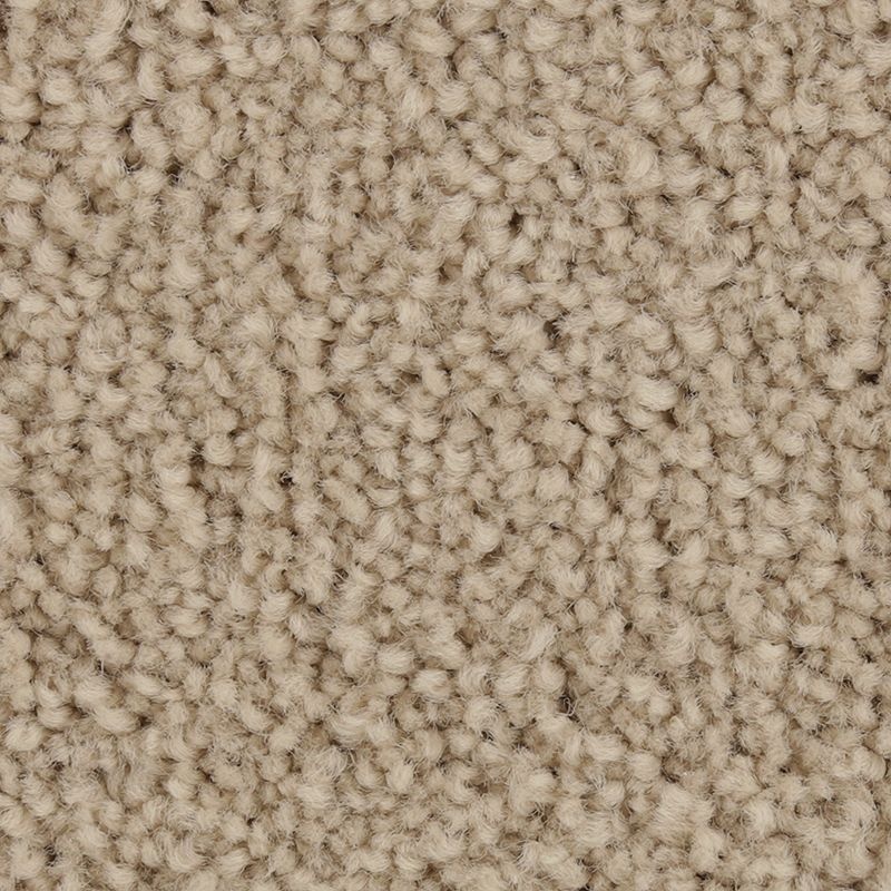 Coastal Fashion Iii Destin Beach Nylon Carpet - Textured