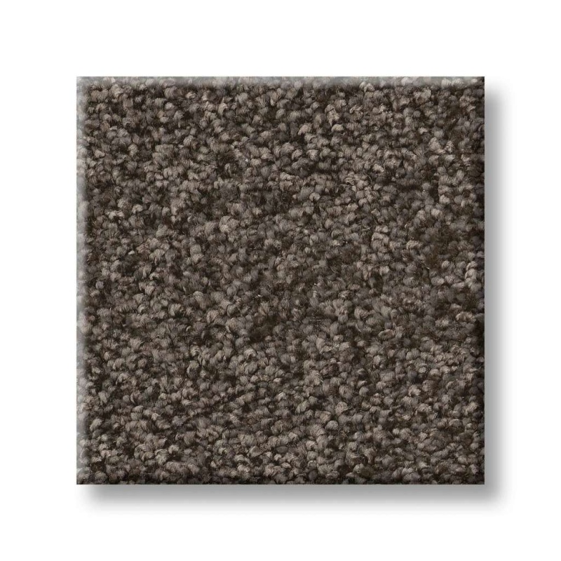 Pet Perfect You Got This I Urban Rustic Polyester Carpet - Textured