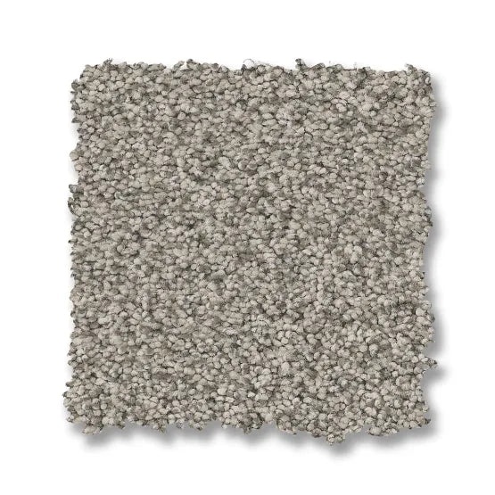 Somerset Moth Gray Nylon Carpet - Textured