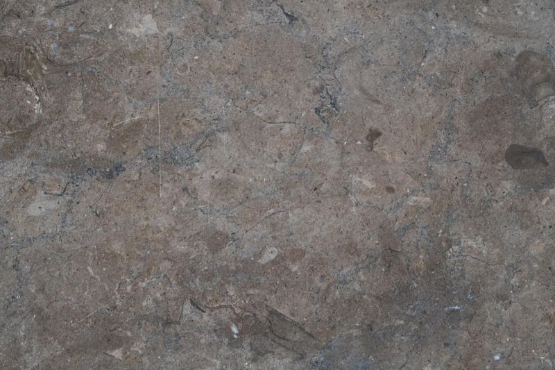 Shark Skin Limestone Tile - Honed