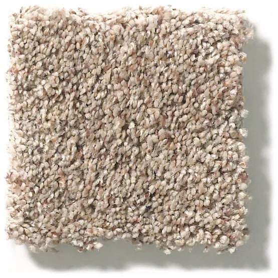 Carmel Coast Hearthstone Nylon Carpet - Textured