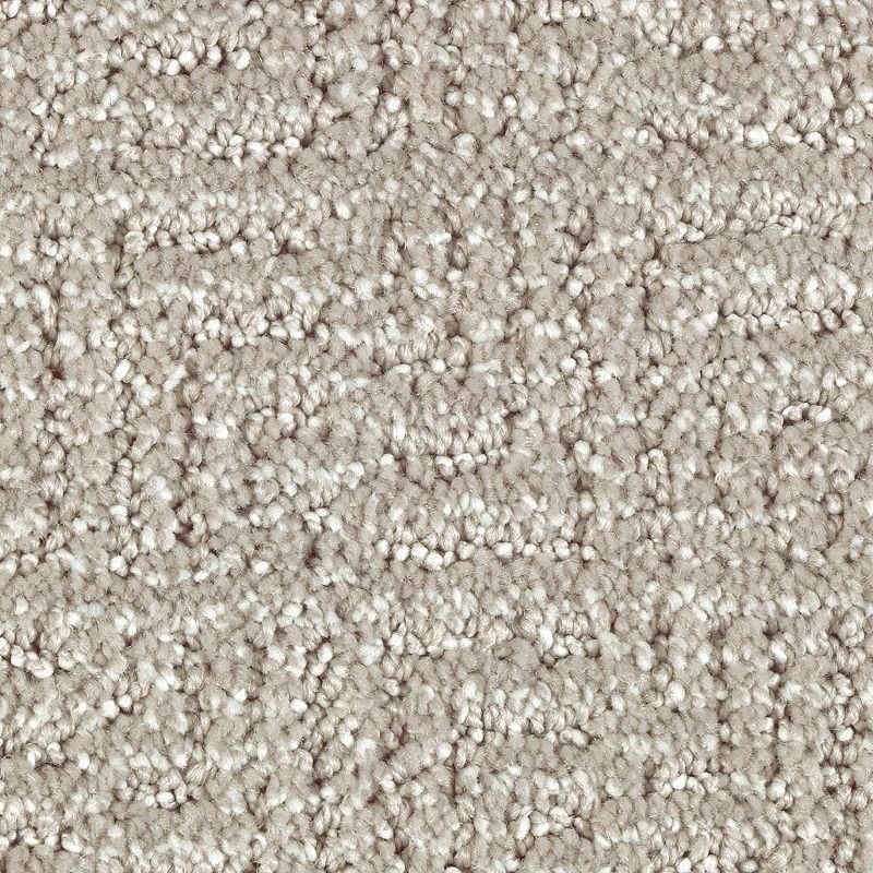 Natural Treasure Smokescreen Triexta Carpet - Pattern