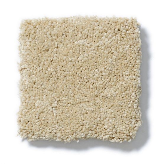Pet Perfect Pawparazzi II Textured Cork Nylon Carpet