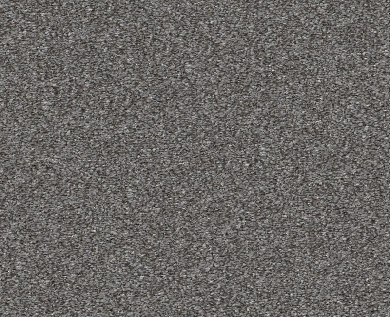 Finders Keepers Hearthstone Polyester Carpet - Loop