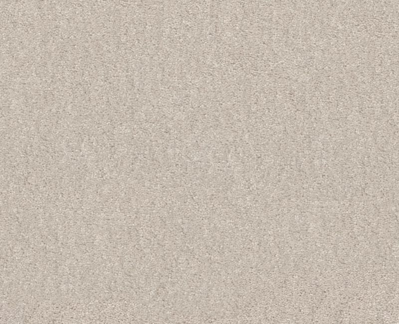 Relentless I 15 Minimalist Polyester Carpet - Loop