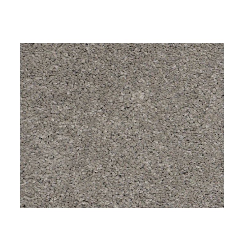 Castle Pv I Barnboard Nylon Carpet - Textured