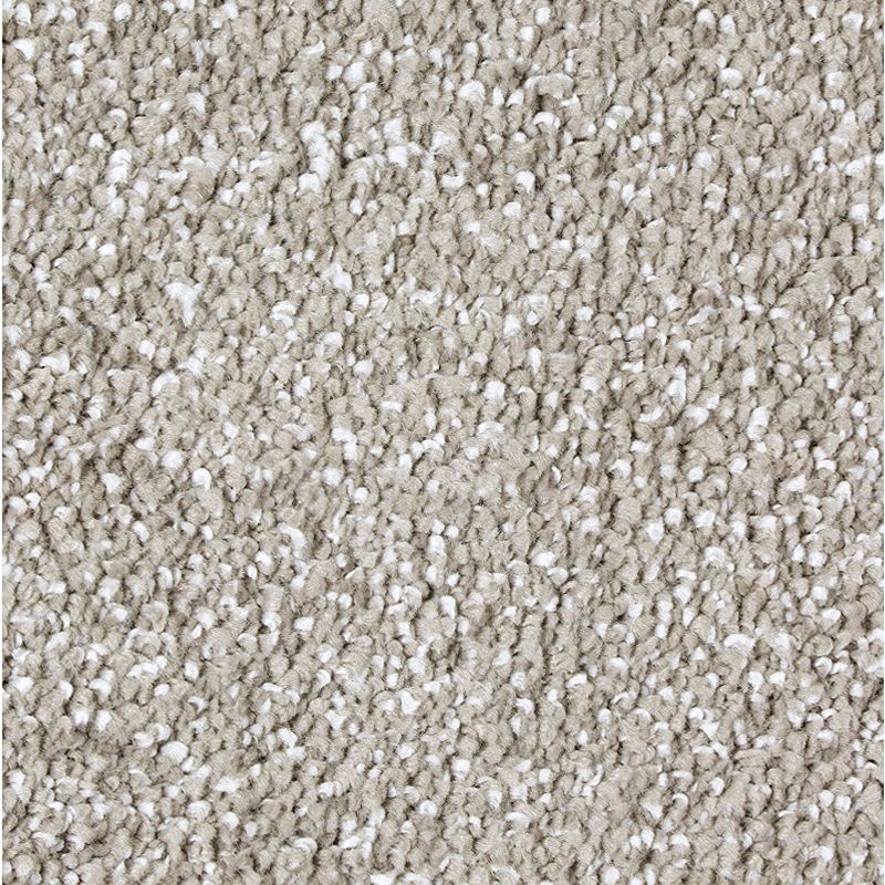 Exquisite Shades Classical Triexta Carpet - Textured