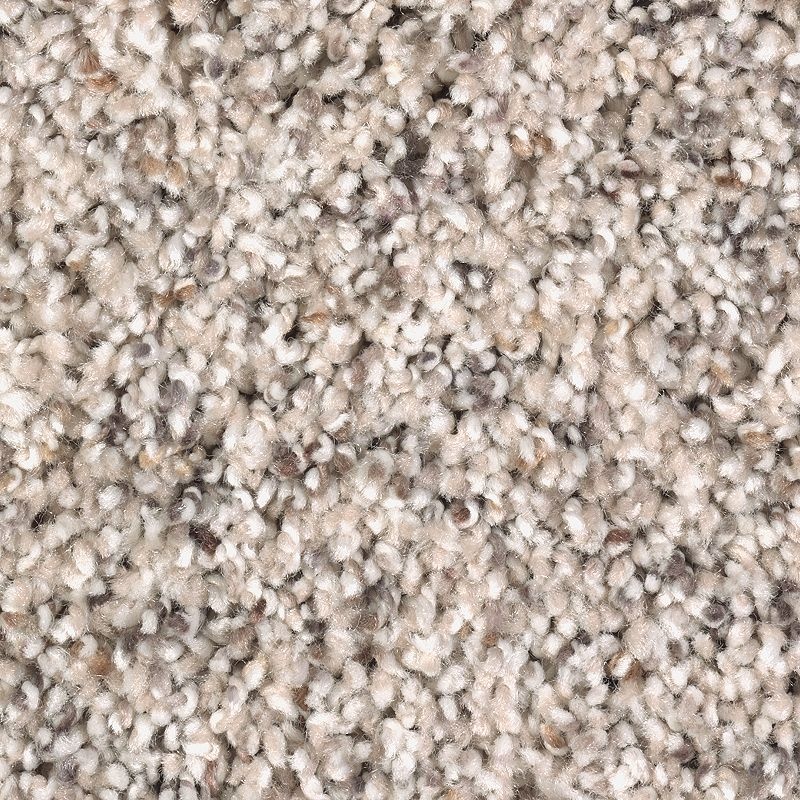 Soft Sensations I Bungalow Beige Polyester Carpet - Textured