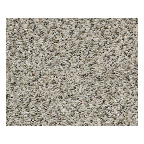 Temescal Silversmith Polyester Carpet - Textured