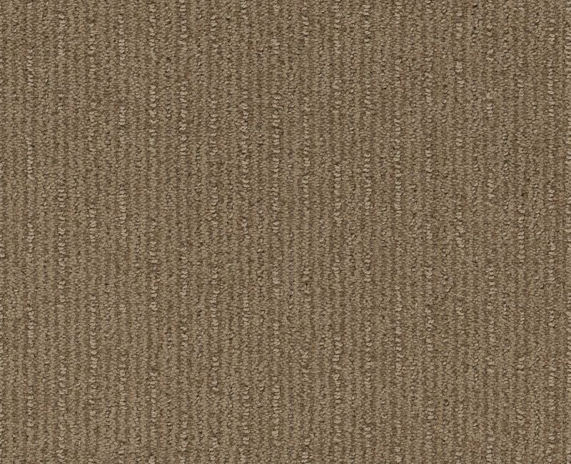 Well Informed Summerville Nylon Carpet - Textured