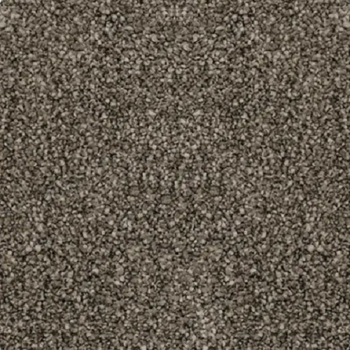 Magic Moment II Metallic Polyester Carpet - Textured