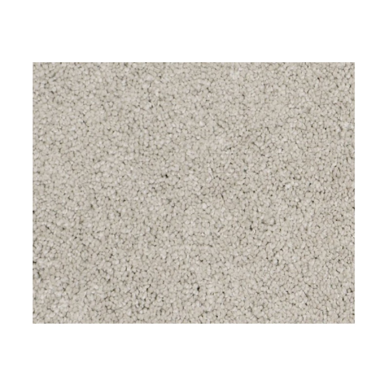 Castle Pv Iii Sterling Nylon Carpet - Textured
