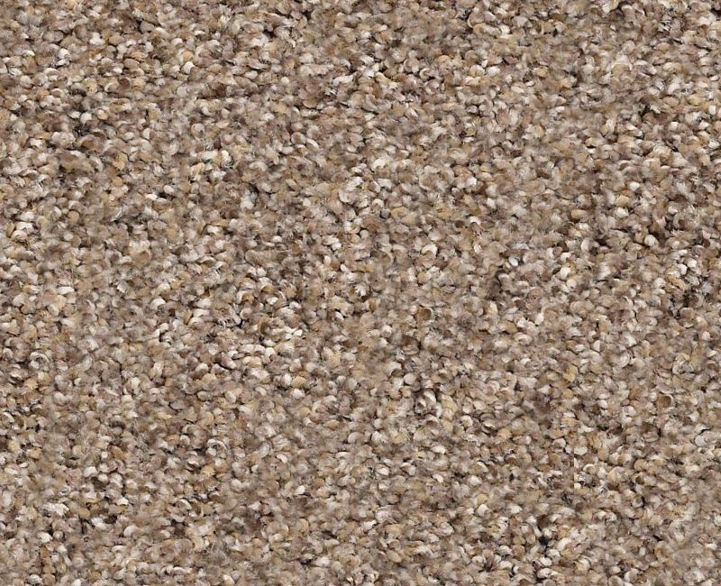 Vigorous Mix Ii Cobble Drive Nylon Carpet - Loop