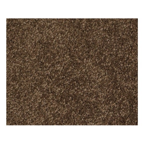 Simply Soft III Bison Nylon Carpet - Textured