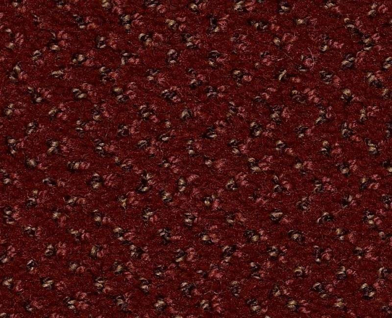 Clearance Sale! Legend Falls Rust Nylon Carpet - Pattern