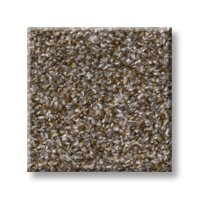 Shake It Up (A) Rocky Trail Polyester Carpet - Textured
