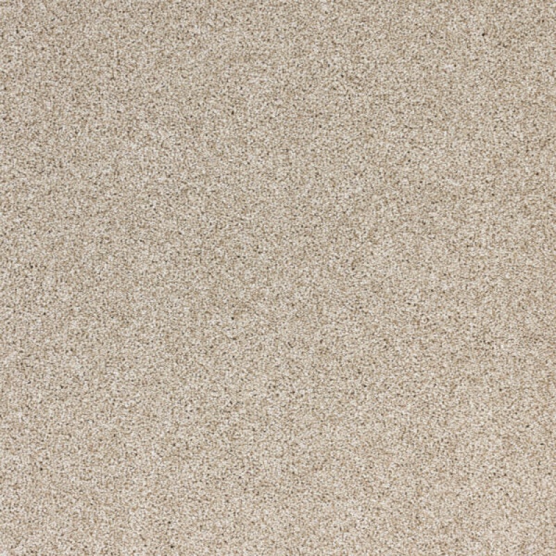 Light Show Visions Polypropylene Carpet - Textured