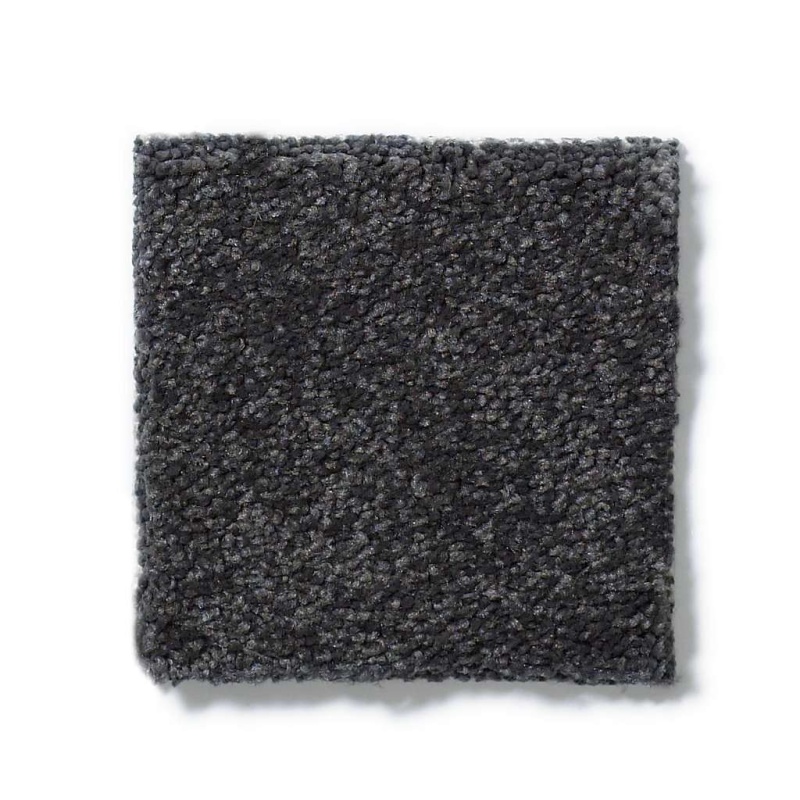 Sandy Hollow Classic Iv 12' Dutch Boy Nylon Carpet - Textured