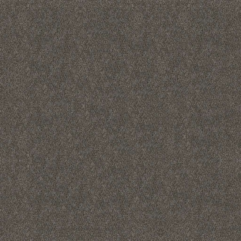 Simply The Best Boundless Ii Shadow Polyester Carpet - Textured