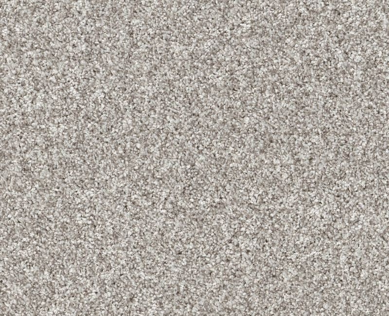 Pet Perfect Yes You Can II 15' Frozen Polyester Carpet - Textured