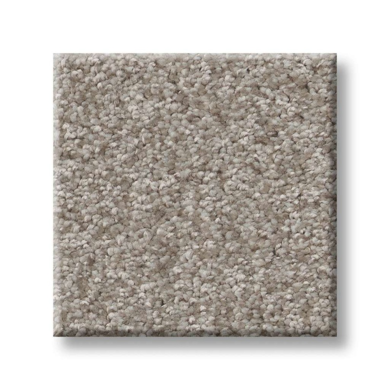 Pet Perfect You Got This Ii Chic Greige Polyester Carpet - Textured