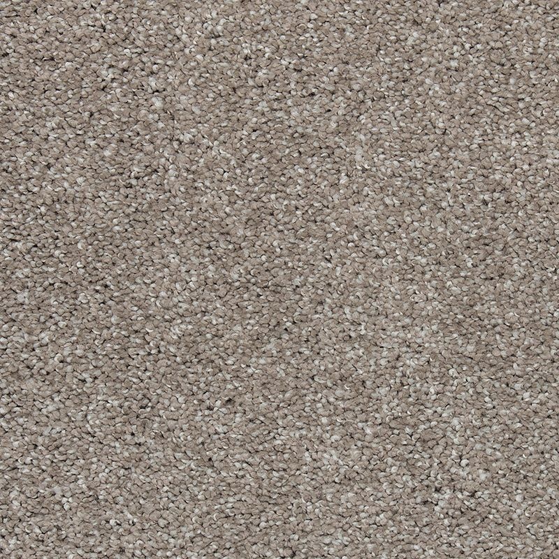 Natural Refinement I Mineral Grey Triexta Carpet - Textured
