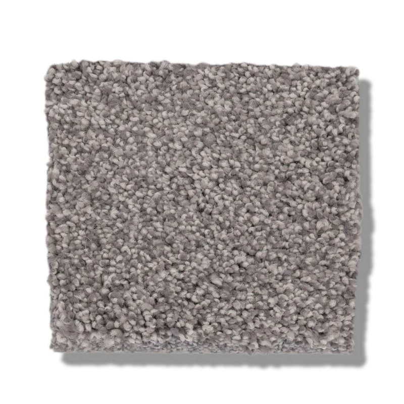 Caress By Shaw Cozy Harbor I Well Traveled Nylon Carpet - Textured