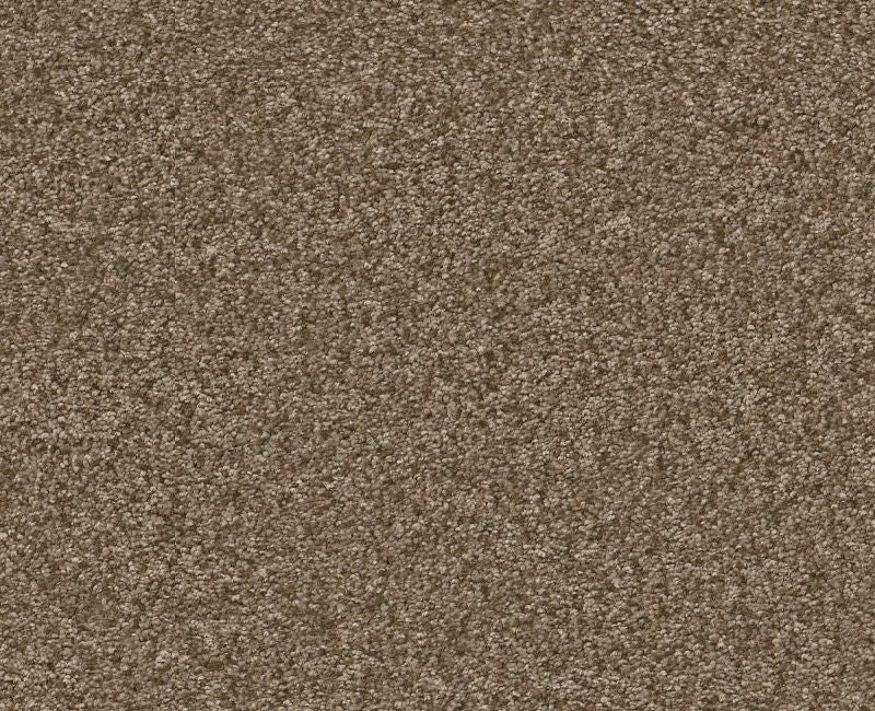 Big News Ii Mission Ridge Polyester Carpet - Pattern