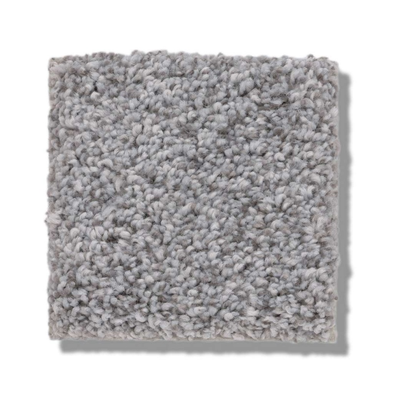 Pet Perfect Plus Calm Serenity I Silver Lining Polyester Carpet - Textured