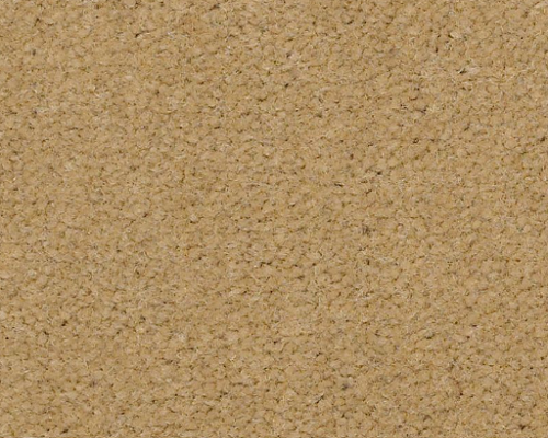 Emphatic II 30 Honey Wheat Nylon Carpet