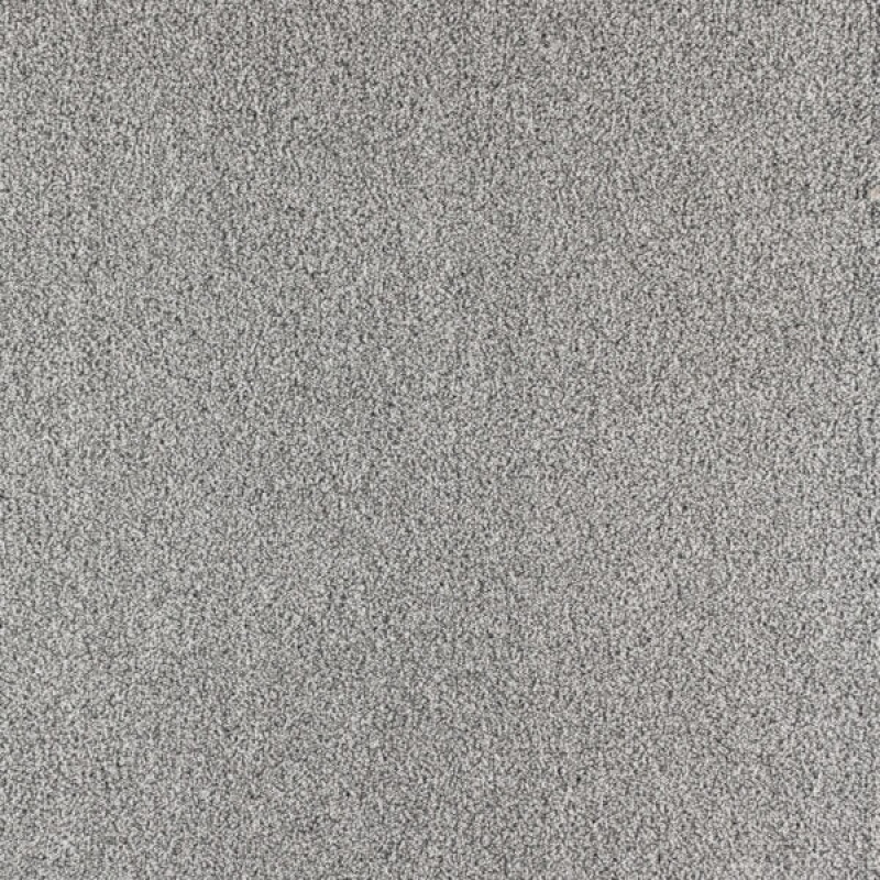 Paramount First Watch Polypropylene Carpet - Textured