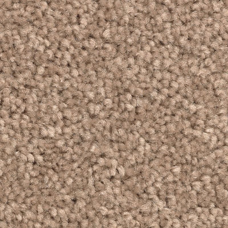 Treasure Valley Honey Butter Polyester Carpet - Textured