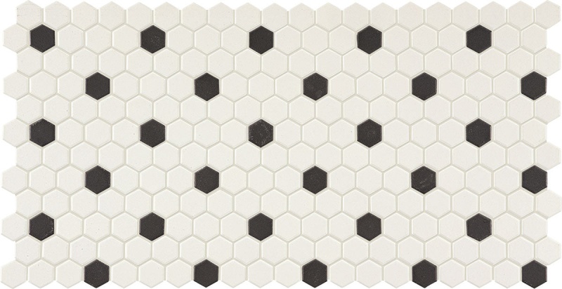 Keystone Blends Arctic White & Black Dots Porcelain Mosaic - 1" Hexagon - Matte