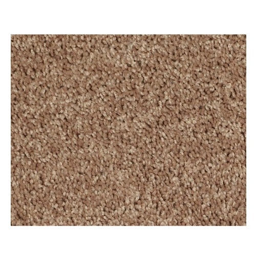 North Shore II Taffy Textured Polyester Carpet