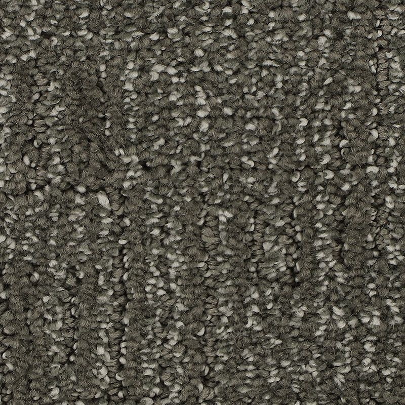 Natural Texture Cathedral Triexta Carpet - Pattern
