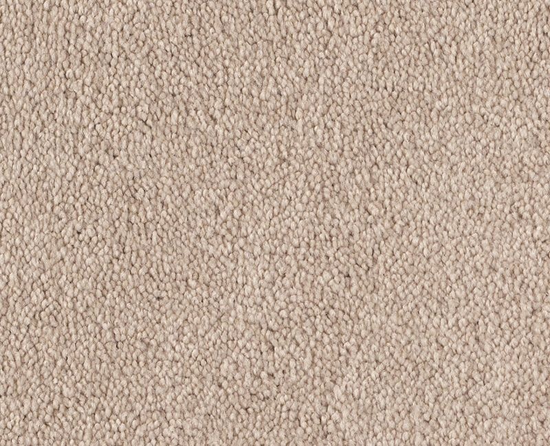 Magic Happens Pv I Sea Salt Nylon Carpet - Textured