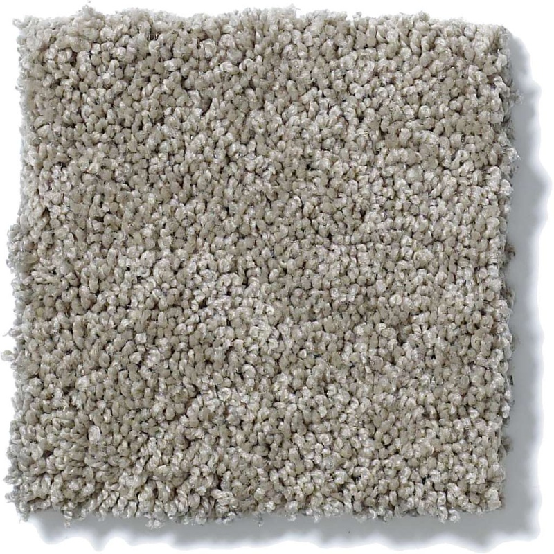 Soft Shades My Choice Ii Rocky Coast Nylon Carpet - Textured