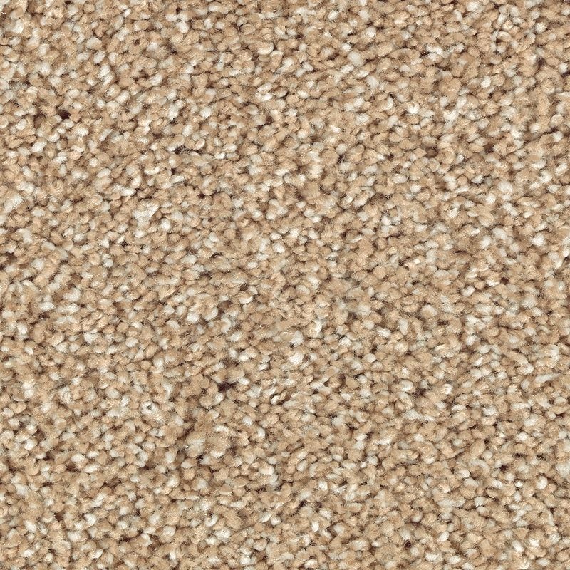 Natural Refinement I Natural Grain Triexta Carpet - Textured