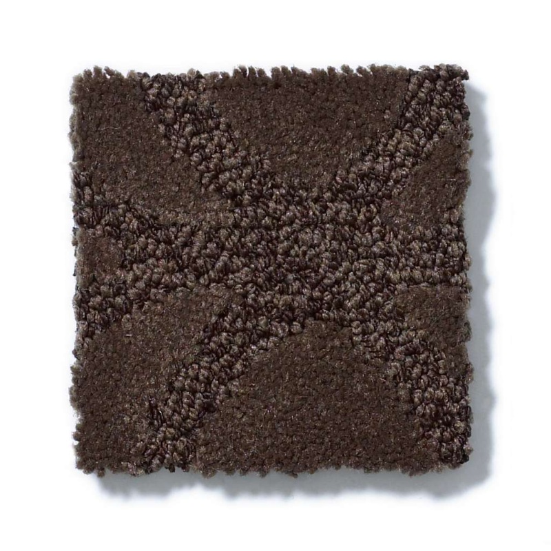 Caress By Shaw Appreciation Bison Nylon Carpet - Pattern