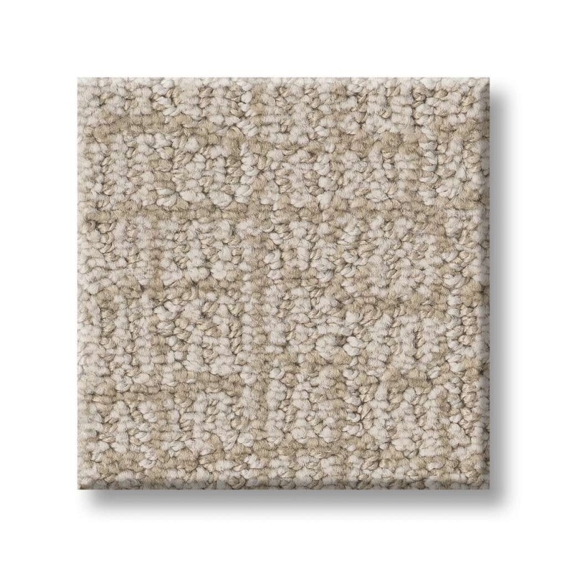 Path Home Warm Light Polyester Carpet - Pattern