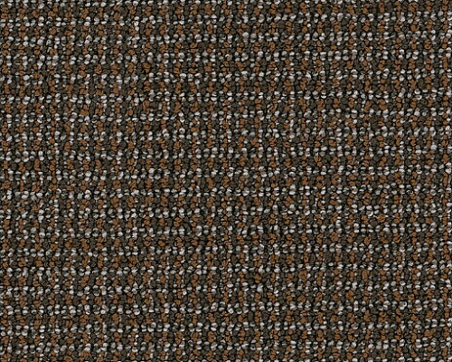 Dateline Today First Look Nylon Carpet - Loop
